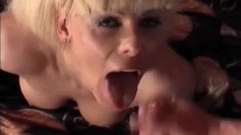 Scene three From shelady Beauty Queens In underware three