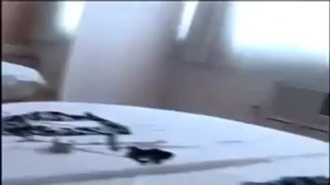 breasty shemale Enjoys Action With man