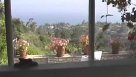 Trans Beauty Queens In underware