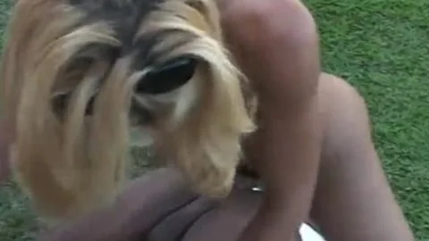 Two homosexual males And ladyman Lisa Lawer outside fucking Each Others butt Holes