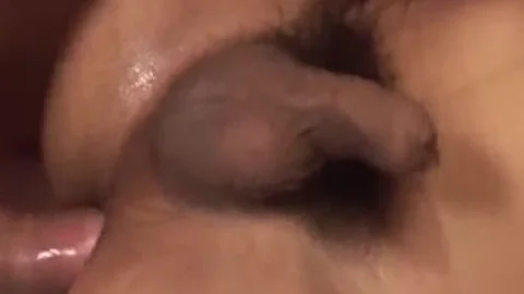 asian Ladyboy plowed By White Western dude