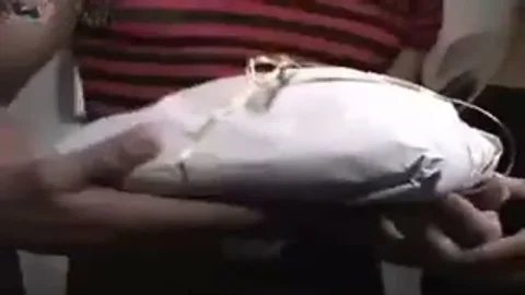 chap Eats A lady-man After mad Foreplay
