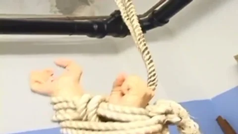 tied Up shetwink Is Released Just For A fine plow