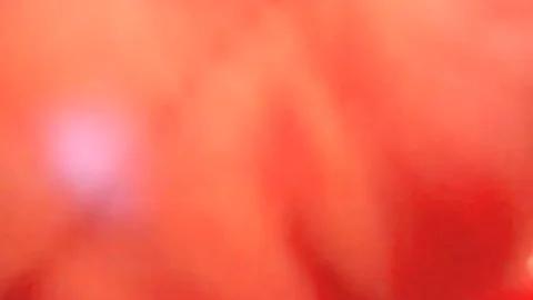 busty blonde lady-man Sarina Valentina oral stimulation And ass drilling